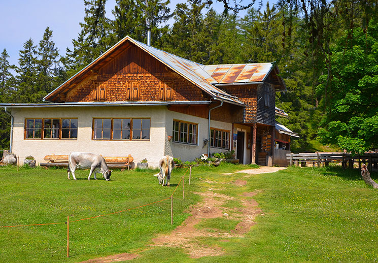 Rundtour Tschafon - Schönblick